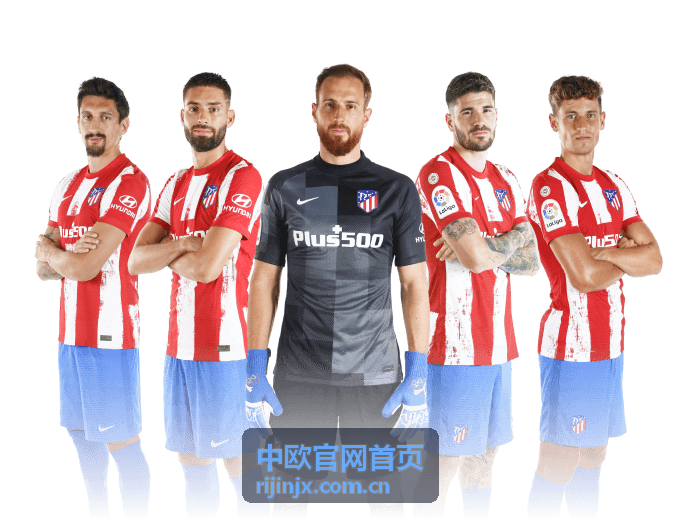中欧官网首页 - 跨境电商合规指南封面